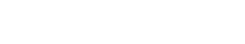 Projects Spring 2010